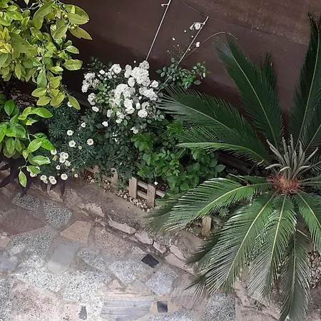Apartmán G&m Bibinje