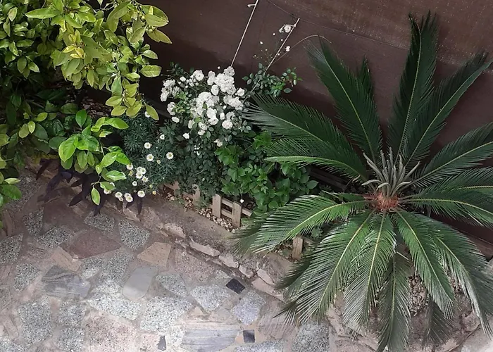 Apartamento G&m Bibinje